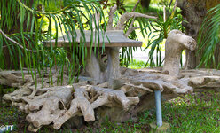 img_3103.jpg img_3103.jpg