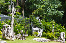 img_3105.jpg img_3105.jpg