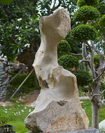 img_3156.jpg img_3156.jpg