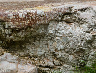 img_3159.jpg img_3159.jpg