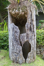 img_3158.jpg img_3158.jpg