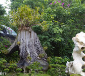 img_3162.jpg img_3162.jpg