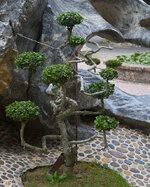 img_3164.jpg img_3164.jpg