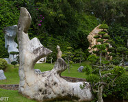 img_3169.jpg img_3169.jpg