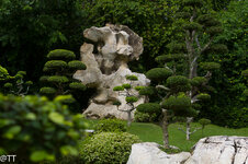 img_3170.jpg img_3170.jpg