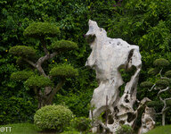 img_3171.jpg img_3171.jpg