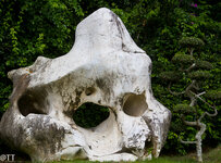 img_3172.jpg img_3172.jpg