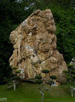 img_3173.jpg img_3173.jpg