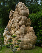 img_3175.jpg img_3175.jpg