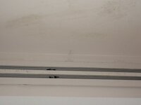 5_408147.jpg