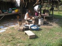 017_445056.jpg