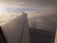 PA220513.jpg