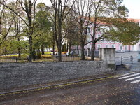 PA230635.jpg