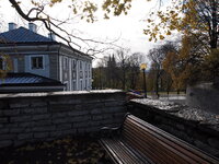 PA230633.jpg