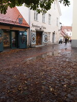PA230648.jpg