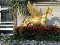 dsc00096.jpg
