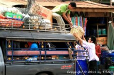 20100216_001785-1.jpg 20100216_001785-1.jpg