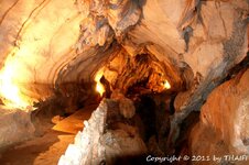 20100216_001850-1.jpg 20100216_001850-1.jpg