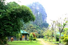 20100216_001888-1.jpg 20100216_001888-1.jpg