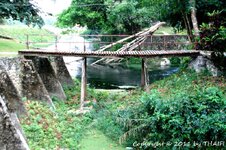 20100216_001818-1.jpg 20100216_001818-1.jpg