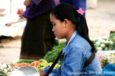 20100216_001928-1.jpg 20100216_001928-1.jpg