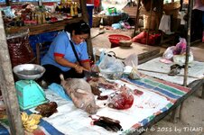 20100216_001938-1.jpg 20100216_001938-1.jpg