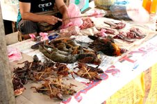 20100216_001941-1.jpg 20100216_001941-1.jpg