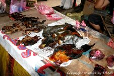 20100216_001942-1.jpg 20100216_001942-1.jpg