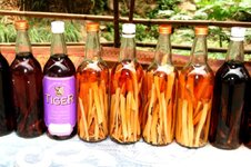 20100217_002108-1.jpg 20100217_002108-1.jpg