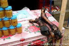 20100217_002123-1.jpg 20100217_002123-1.jpg