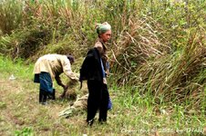 20100217_002161-1.jpg 20100217_002161-1.jpg