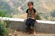 20100217_002198-1.jpg 20100217_002198-1.jpg