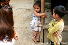 20100217_002220-1.jpg 20100217_002220-1.jpg