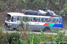 20100217_002299-1.jpg 20100217_002299-1.jpg