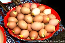 20100217_002353-1.jpg 20100217_002353-1.jpg