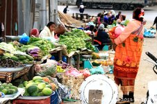 20100217_002356-1.jpg 20100217_002356-1.jpg