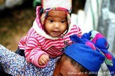 20100217_002373-1.jpg 20100217_002373-1.jpg