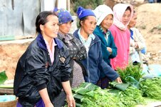 20100217_002377-1.jpg 20100217_002377-1.jpg