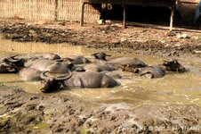 20100220_003646-1.jpg 20100220_003646-1.jpg