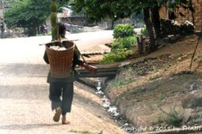 20100220_003616-1.jpg 20100220_003616-1.jpg