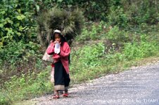 20100220_003640-1.jpg 20100220_003640-1.jpg