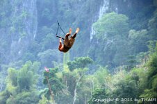 20100220_003710-1.jpg 20100220_003710-1.jpg