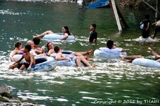 20100220_003718-1.jpg 20100220_003718-1.jpg