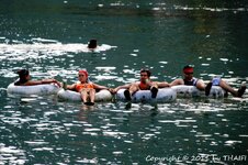 20100220_003695-1.jpg 20100220_003695-1.jpg