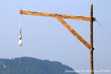 20100221_003784-1.jpg 20100221_003784-1.jpg