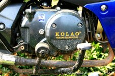 20100221_003778-1.jpg 20100221_003778-1.jpg