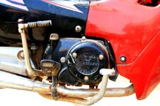 20100221_003780-1.jpg 20100221_003780-1.jpg