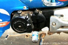 20100221_003781-1.jpg 20100221_003781-1.jpg