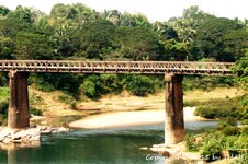 20100221_003795-1.jpg 20100221_003795-1.jpg