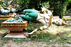 20100221_003880-1.jpg 20100221_003880-1.jpg